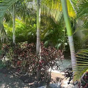 Residencial Mediterraneo Apartment